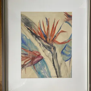 Papageienblume, Trude Forster-Hofreiter