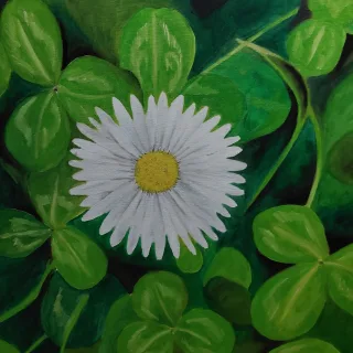 Gänseblümchen, Viktoria Gruber