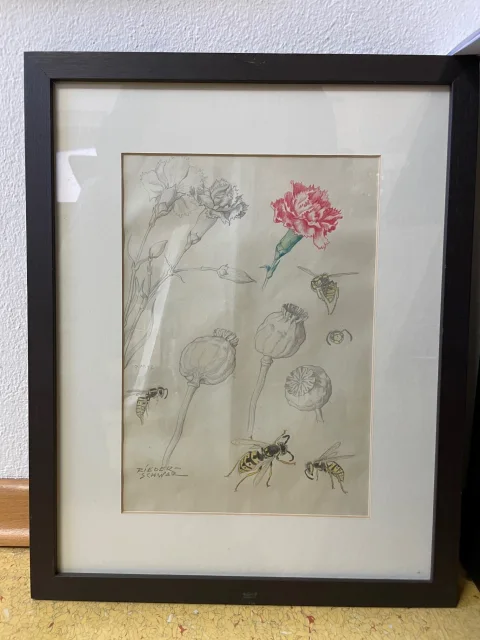 Blumen und Insekten Skizzen, Carl Rieder