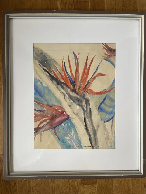 Papageienblume, Trude Forster-Hofreiter